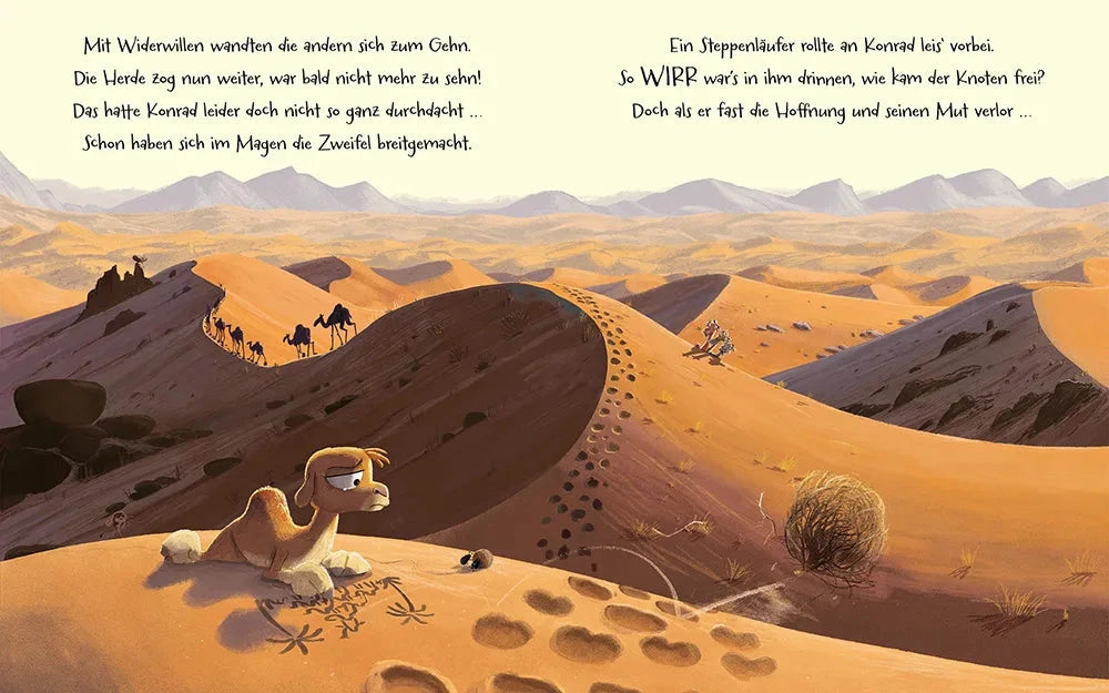 Buch "Das Kamel hat schlechte Laune" Buch Magellan Verlag
