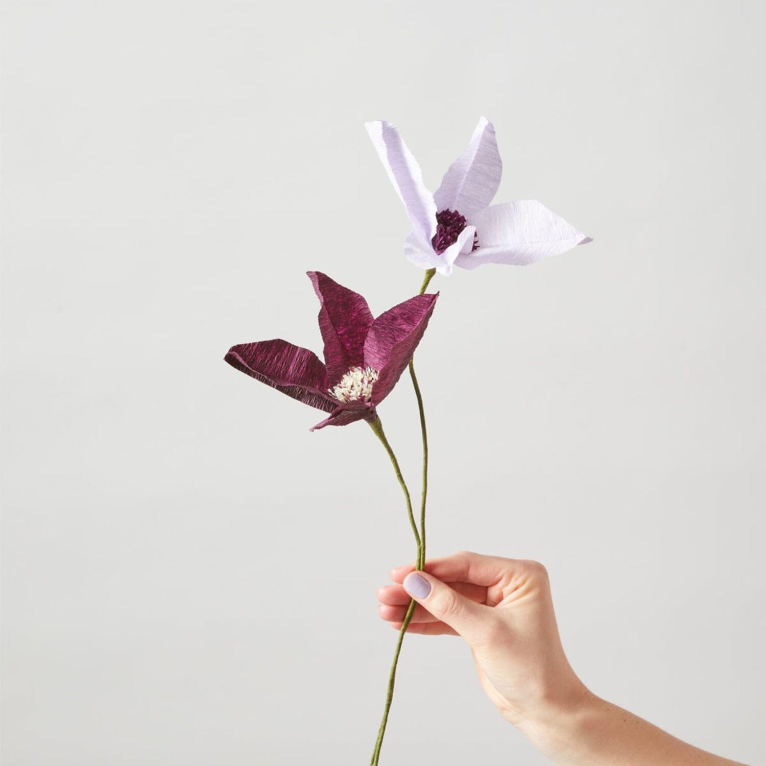 Papierblume "Clematis" Studio About