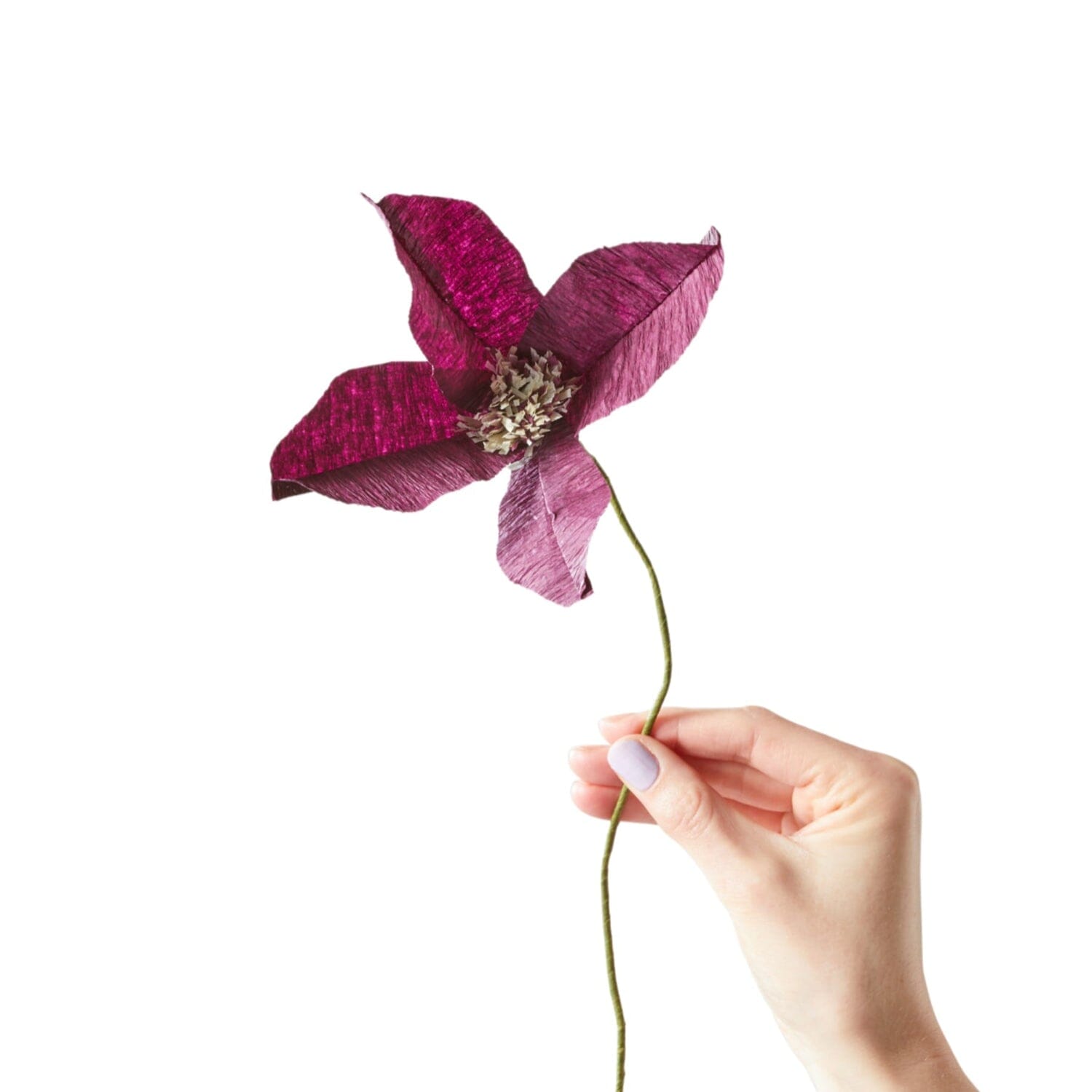 Papierblume "Clematis" Studio About Aubergine
