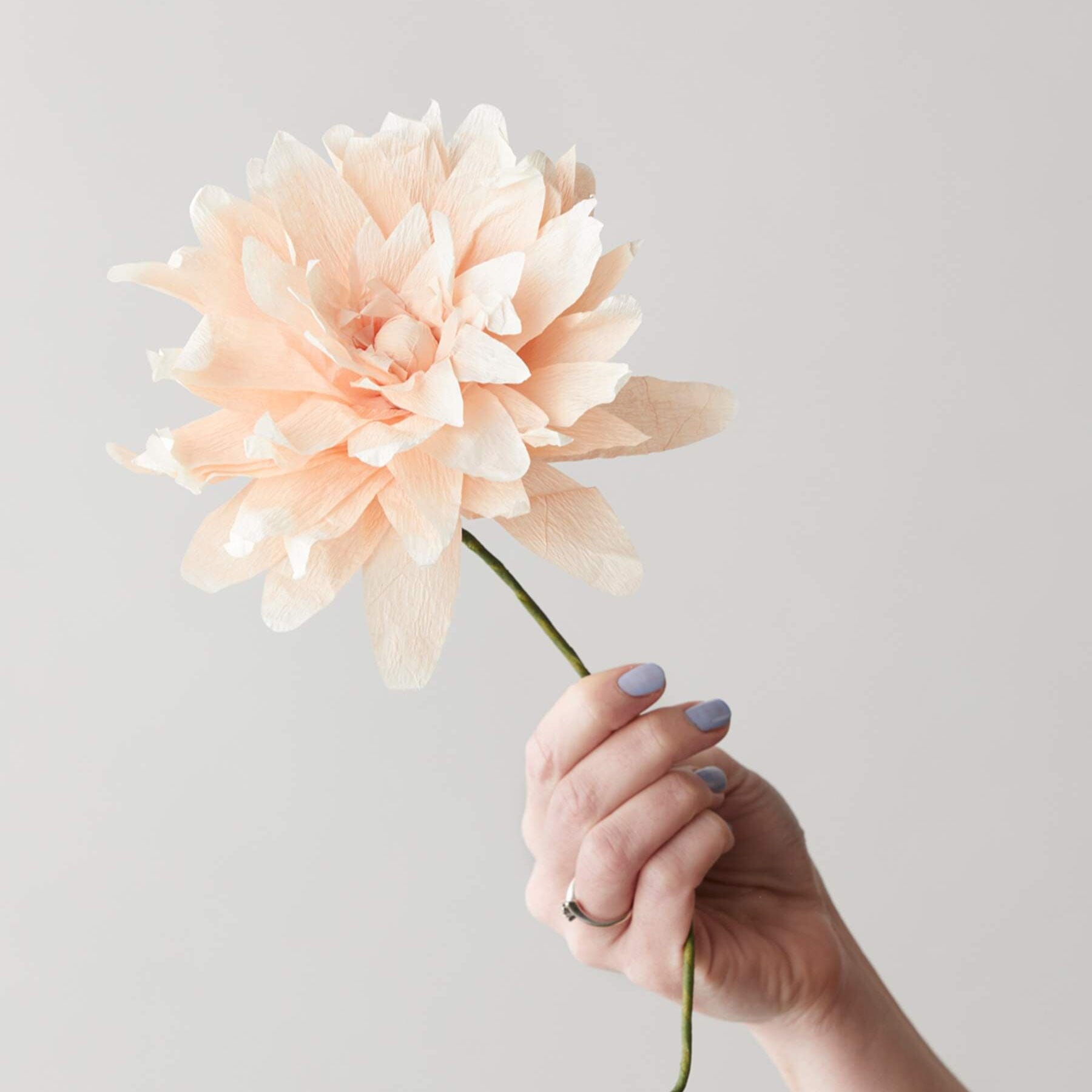 Papierblume "Grand Dahlia" nude Studio About