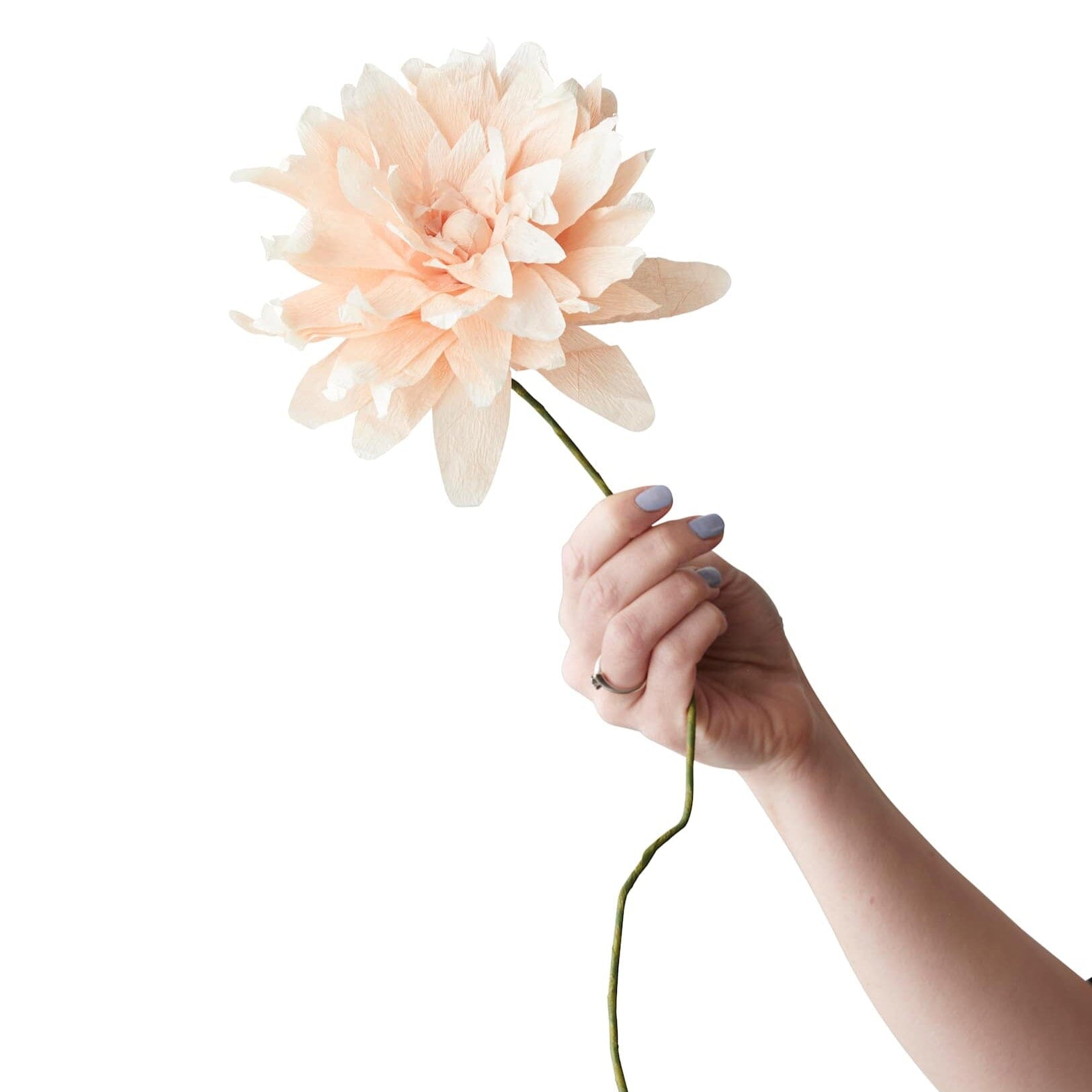 Papierblume "Grand Dahlia" nude Studio About