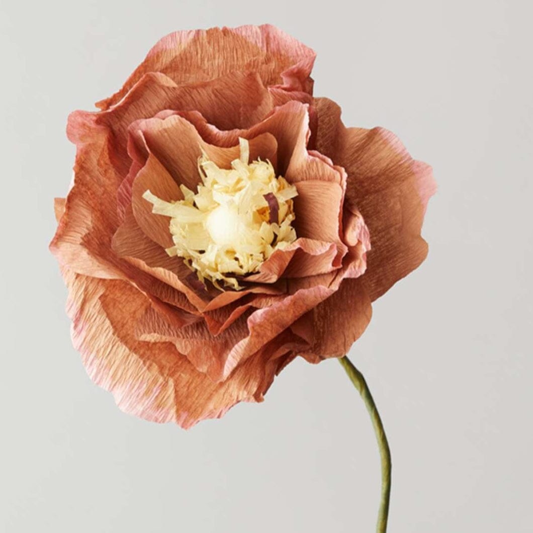 Papierblume "Ice Poppy" dark ochre Studio About