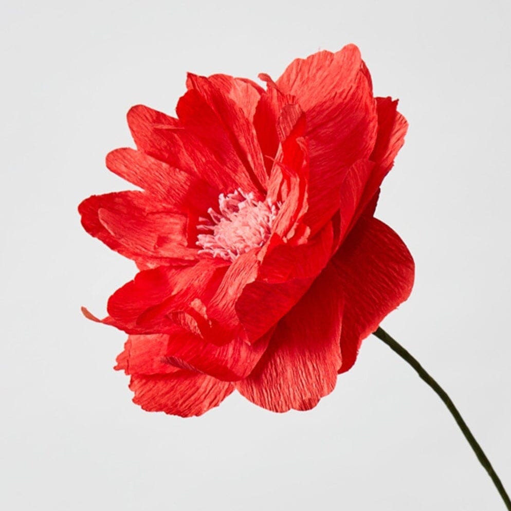 Papierblume "Oriental Poppy" red Studio About