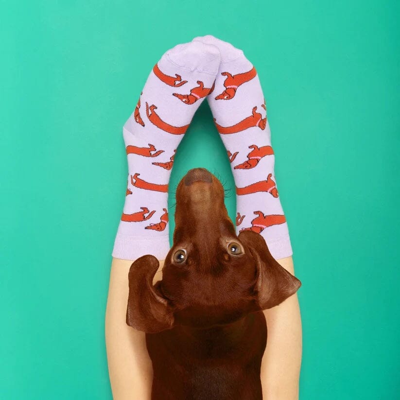 Socken "Dackel" Socken Coucou Suzette