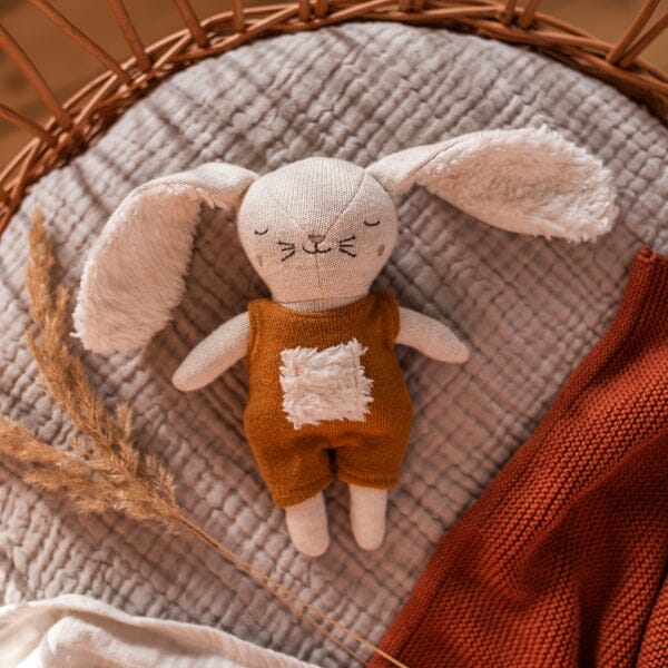 Babyrassel "Hase rost" Ava & Yves