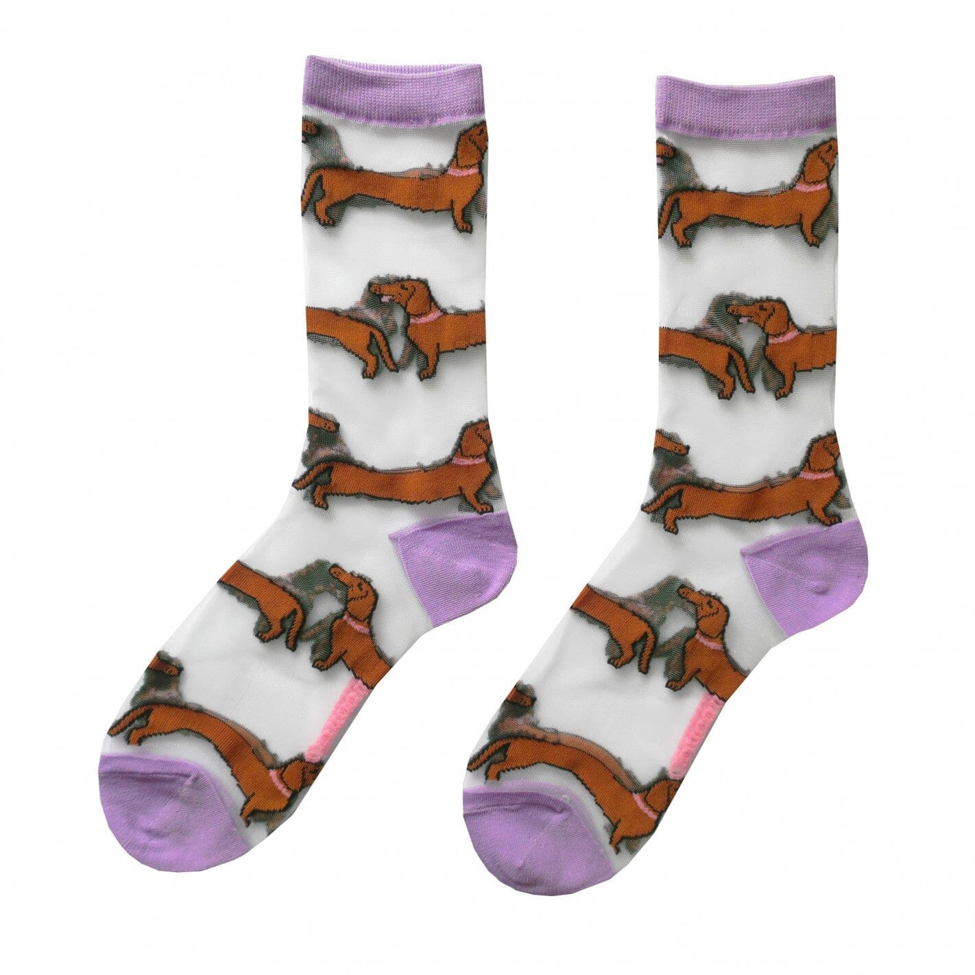 Durchsichtige Socken "Dackel" Socken Coucou Suzette