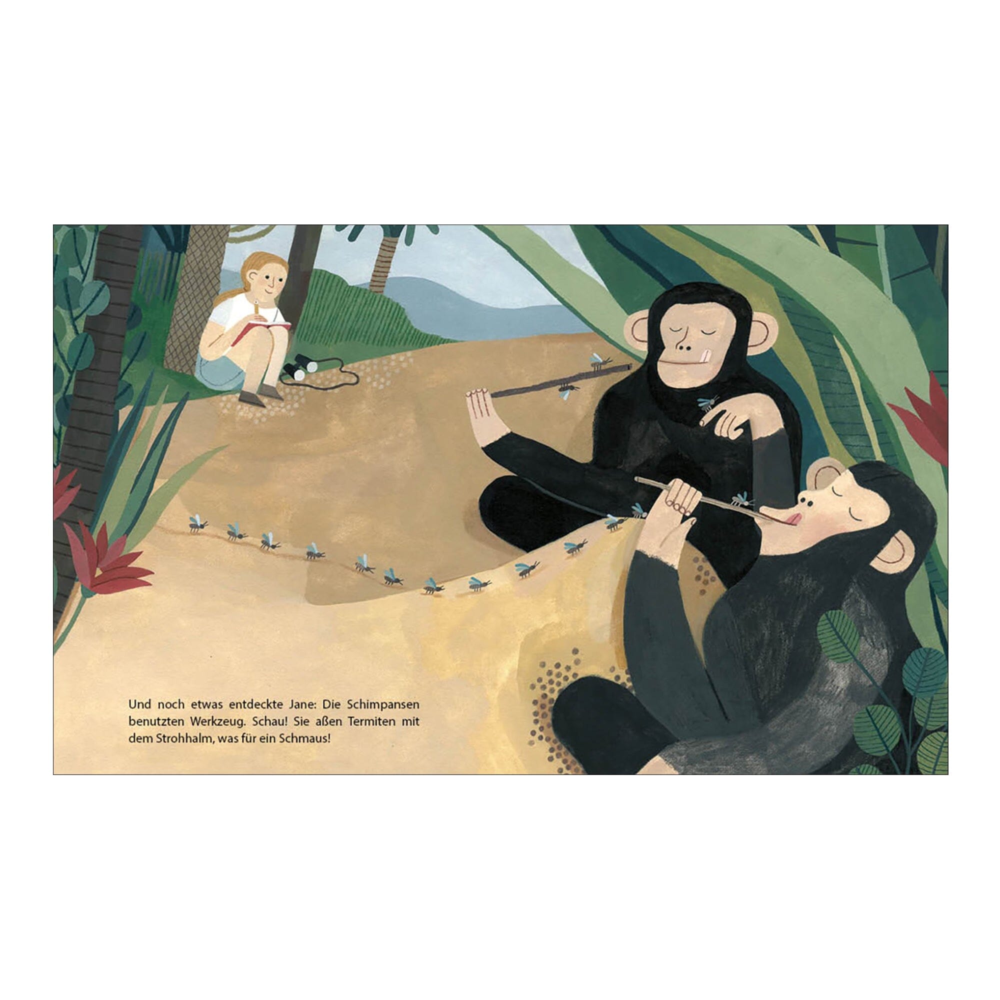 Jane Goodall von Little People, BIG DREAMS Buch Little People, BIG DEAMS Insel Verlag
