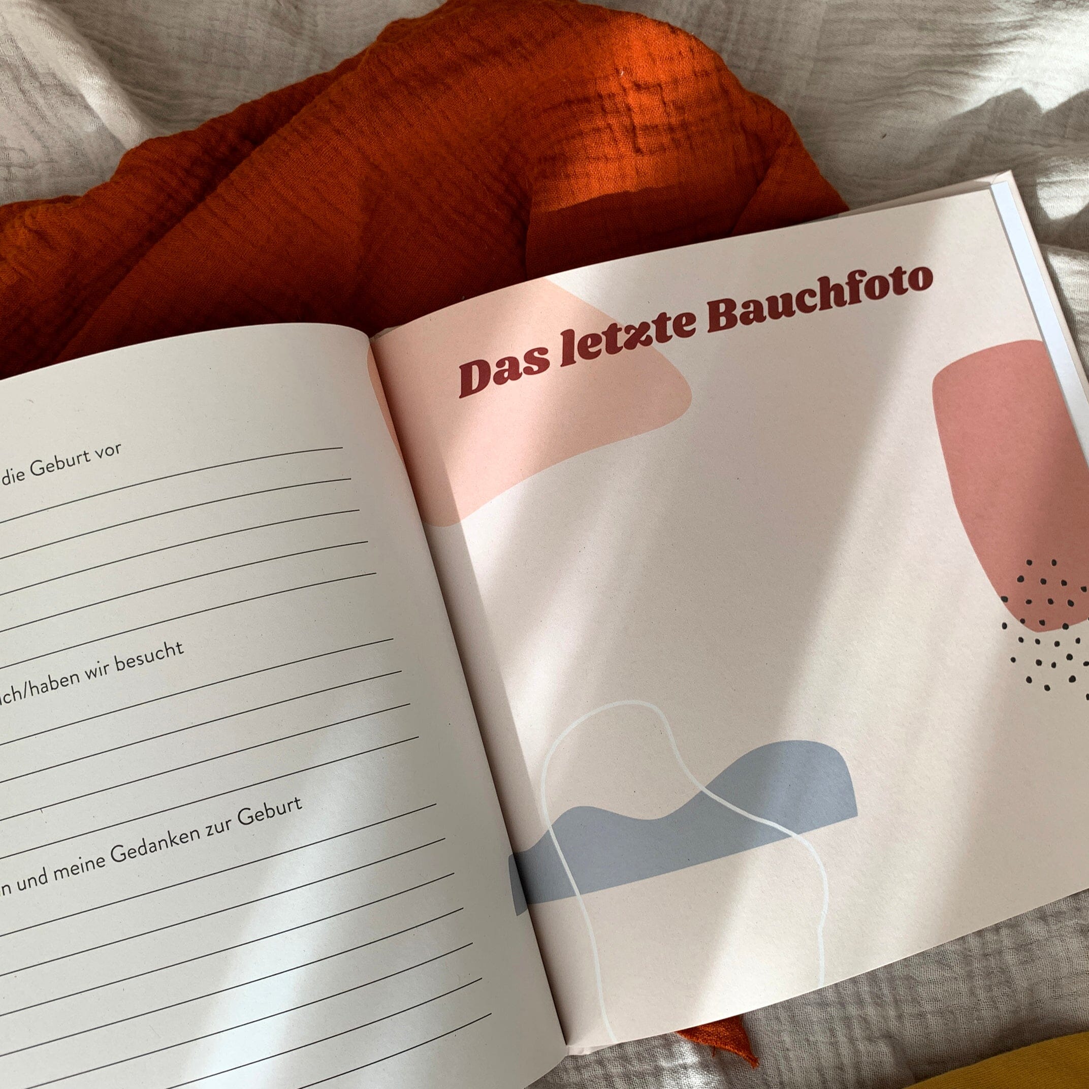 Schwangerschaftsbuch Schwangerschaftsbuch Anna Beddig