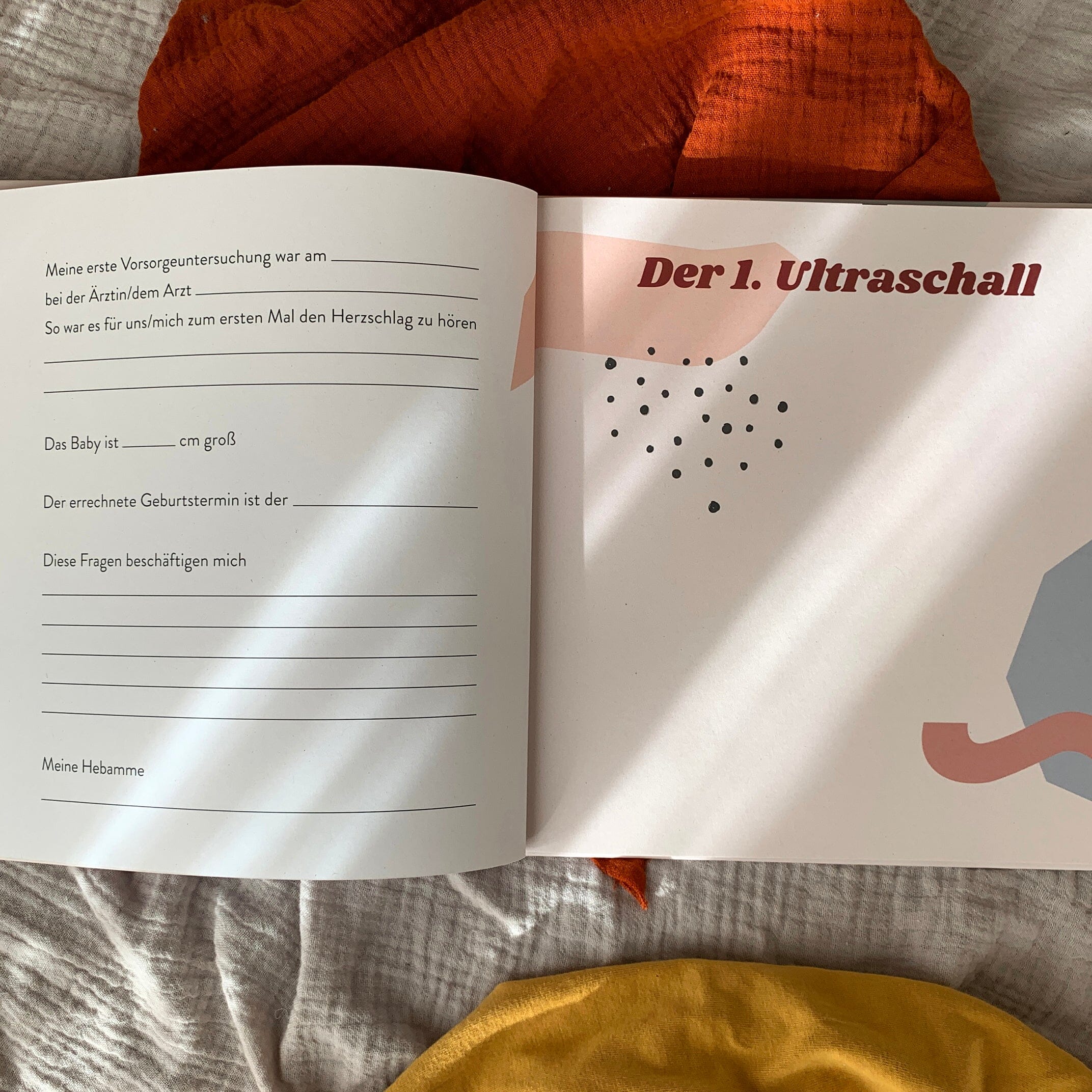Schwangerschaftsbuch Schwangerschaftsbuch Anna Beddig