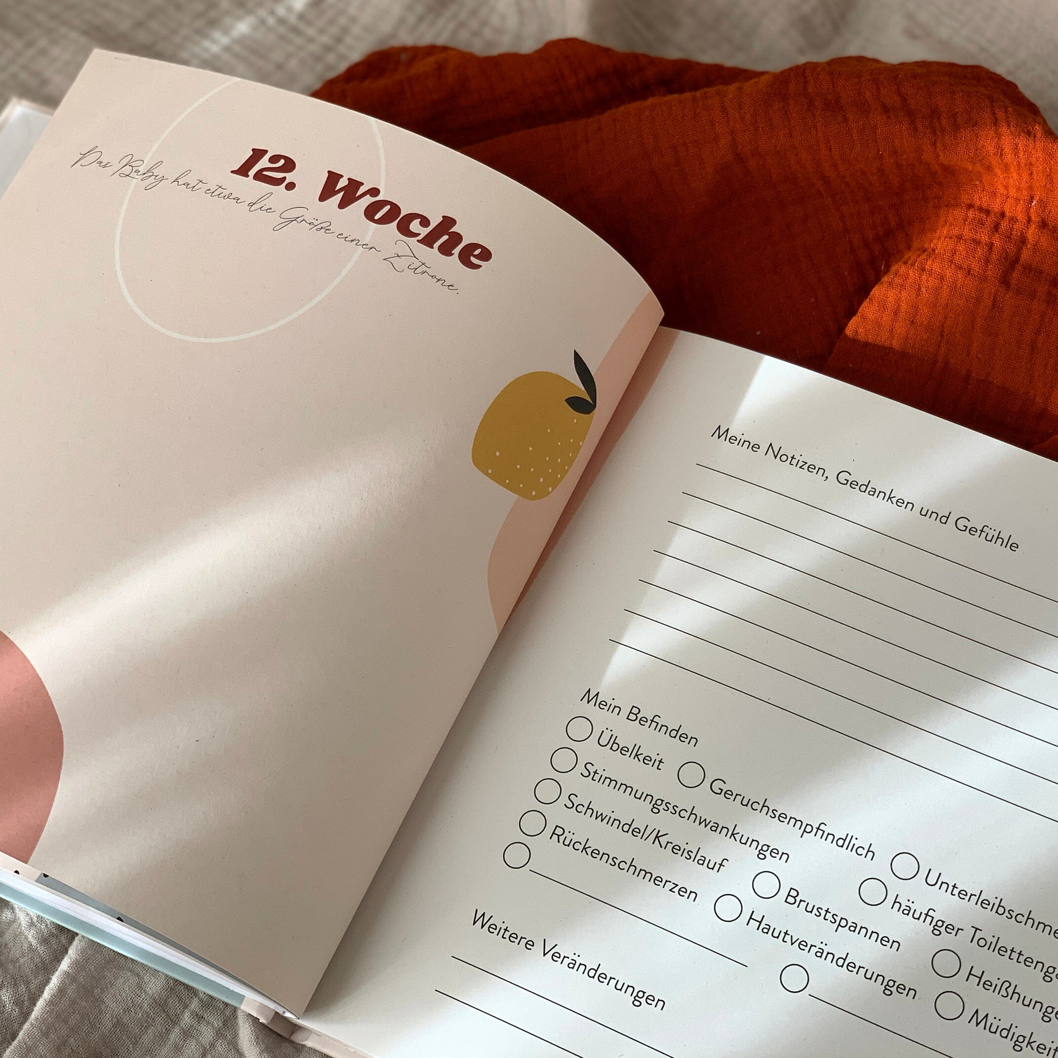 Schwangerschaftsbuch Schwangerschaftsbuch Anna Beddig
