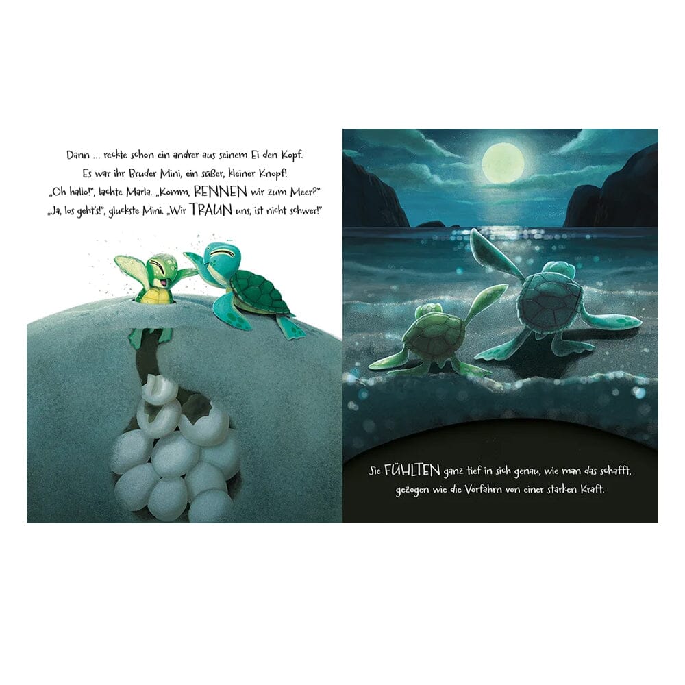 Buch "Geh deinen Weg, Schildkröte" Buch Magellan Verlag 