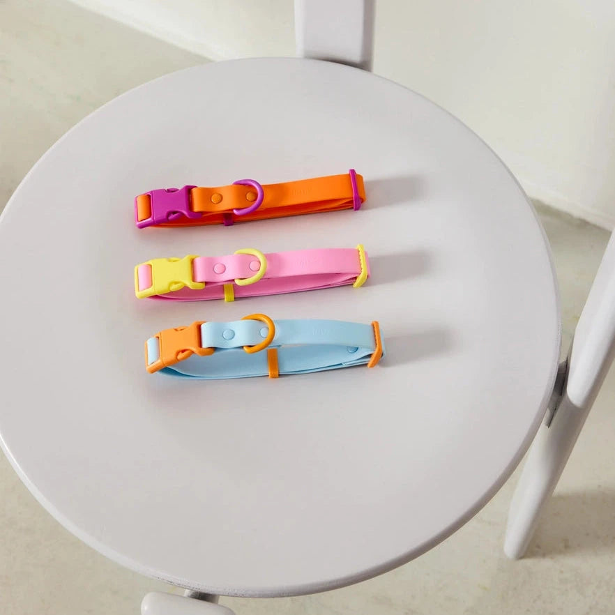 Halsband medium "The Fritz Collar" approved by Fritz 