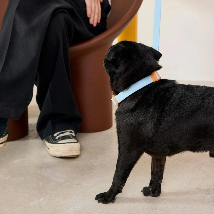 Halsband small "The Fritz Collar" approved by Fritz 