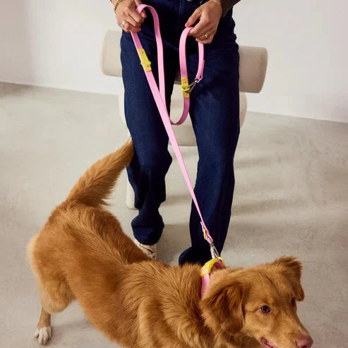 Leine Standard "The Fritz Leash" Leine approved by Fritz 