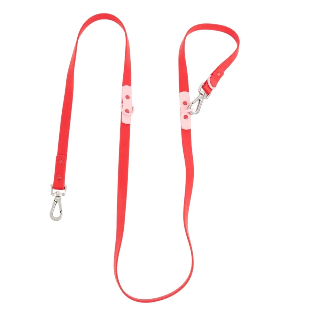 Leine Standard "The Fritz Leash" Leine approved by Fritz Cherry 