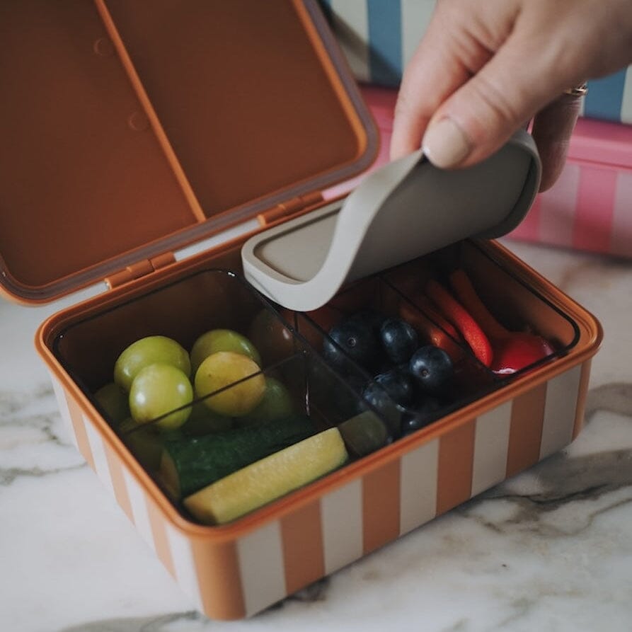 Lunchbox "Eyes" Brotdose noui noui 
